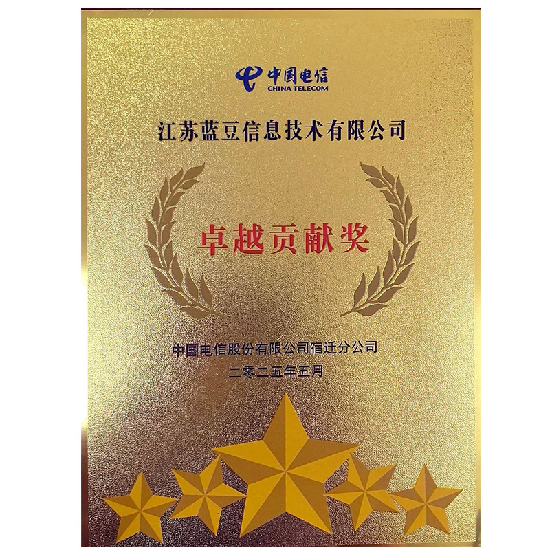 中国电信卓越奖